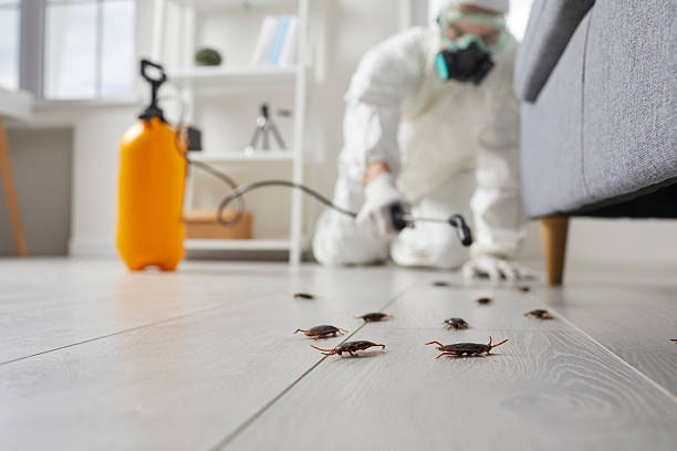 Commercial Kitchen Cockroach Control in Deschutes River Woods